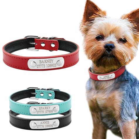 personalized dog collars for small dogs